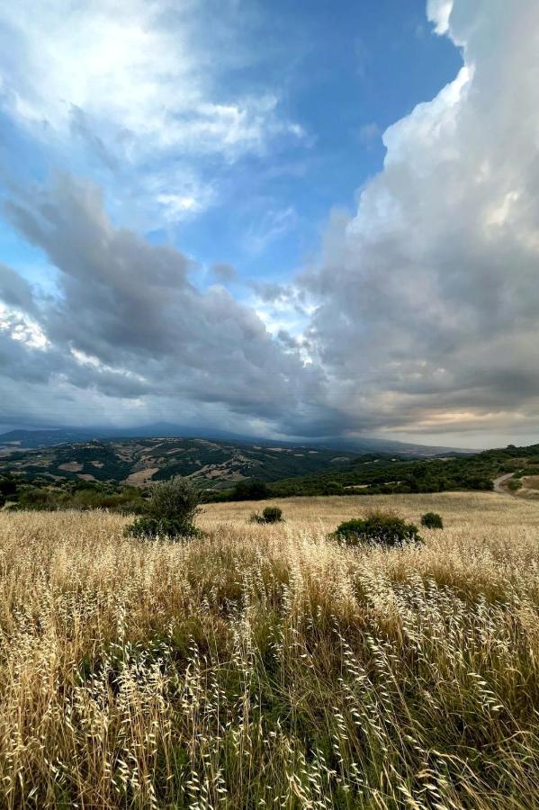Casa Primavera A Rocca D'Orcia Castiglione dʼOrcia Buitenkant foto
